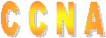 C C N A